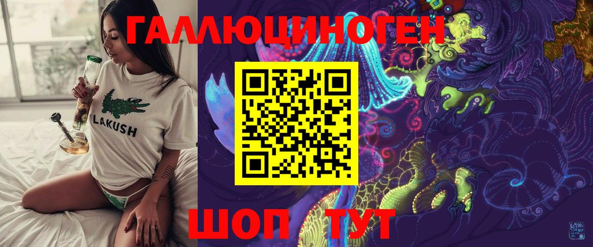 Псилоцибиновые грибы Psilocybe Киреевск